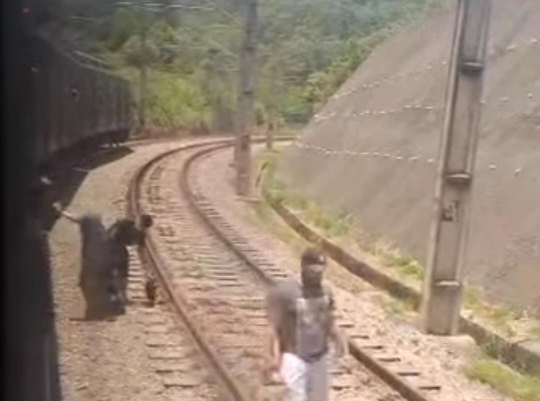 Falha afetou atendimento da Linha 8-Diamante nesta segunda (22)